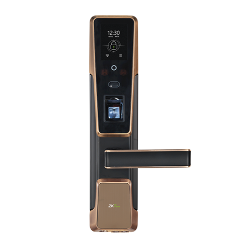 Умный замок с гибридной биометрической идентификациейZM100