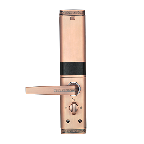 Биометрический замок со считывателем отпечатка пальцаTL200 - фото6