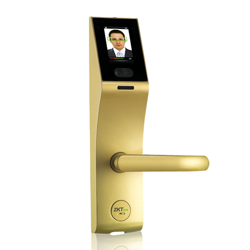 Замок с распознаванием по лицу, паролям и считывателем RFID картFL1000